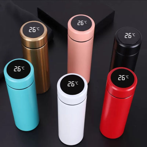 Smart Stainless Steel Water Bottle with LED Temperature Display